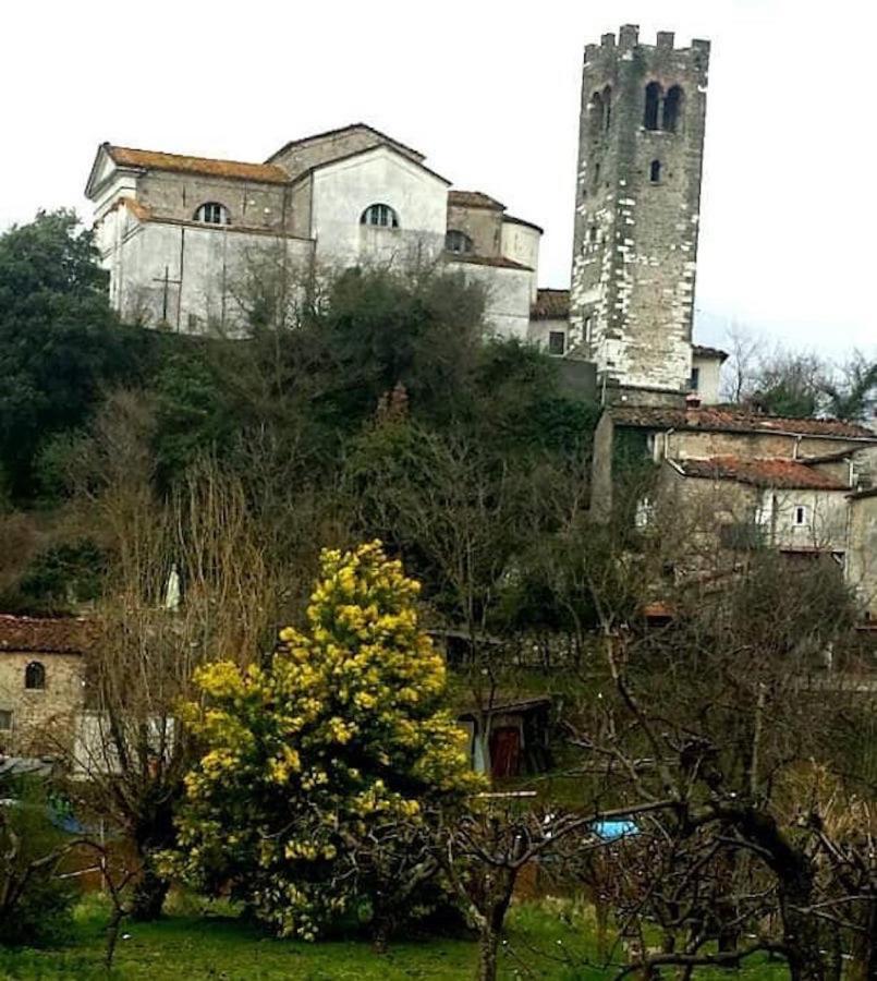 Willa Casa Di Anchiano Borgo a Mozzano Zewnętrze zdjęcie